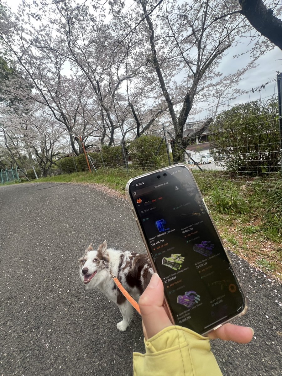 larrymenthol_'s tweet photo. @lisskins invited us to celebrate his 9th birthday, so my loyal companion and I left early to make sure we wouldn’t be late to the party. https://t.co/7bENSNy7d4