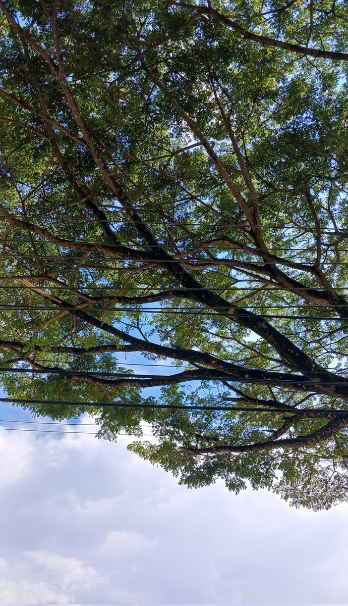 Rahmah.yn tweet media