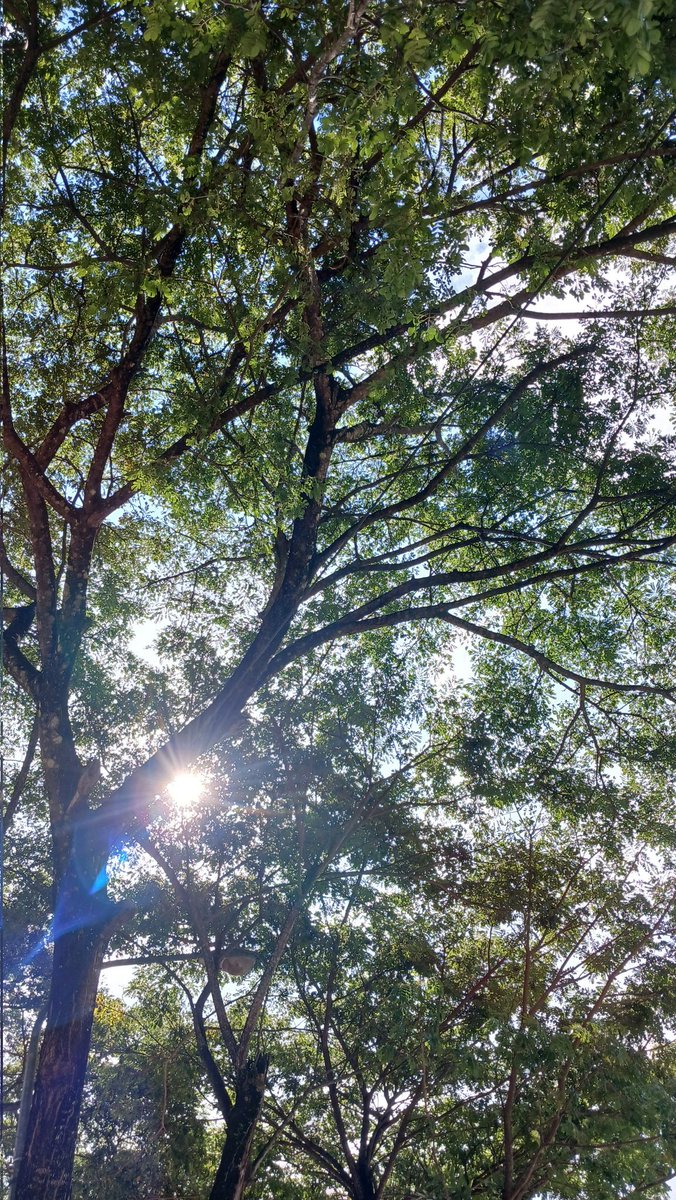 Rahmah.yn tweet media