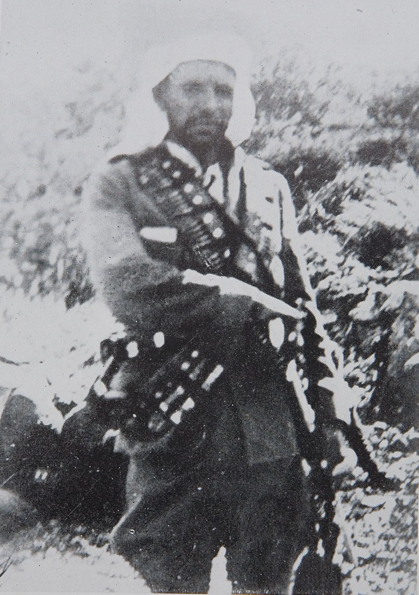 🏴‍☠️🇵🇸 tweet media