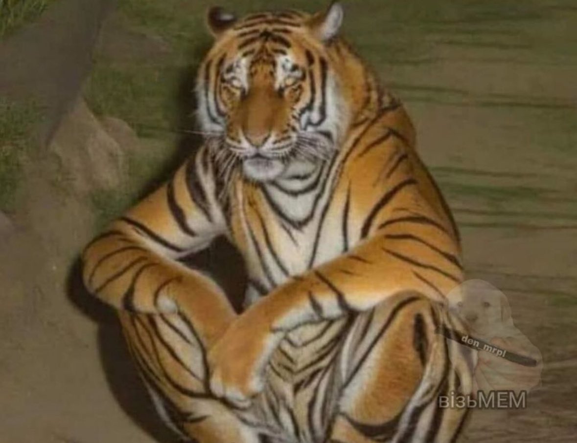 Voledea🇺🇦 tweet media