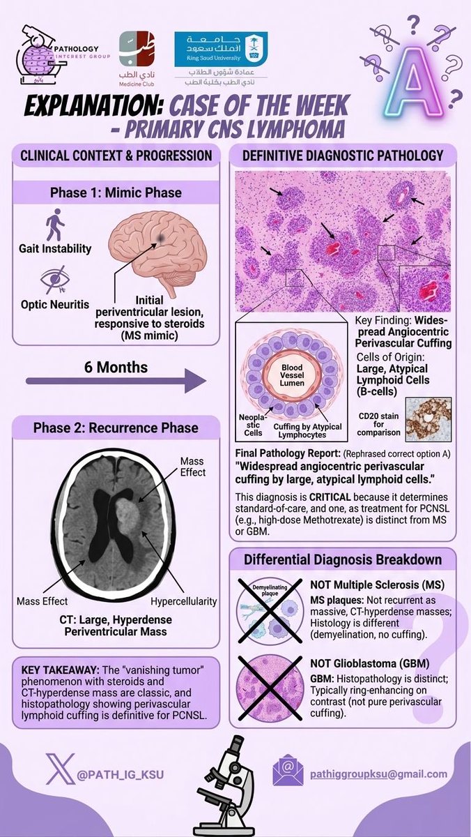 Pathology Interest Group | باثِج tweet media