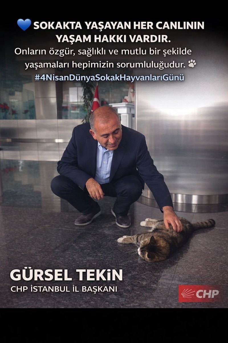 Gürsel Tekin tweet media
