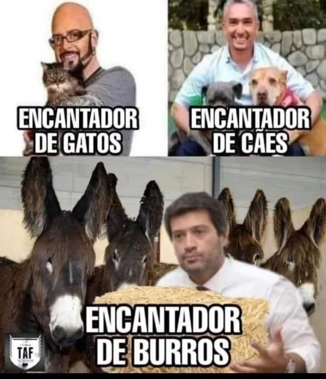 FILIPE RODRIGUES tweet media