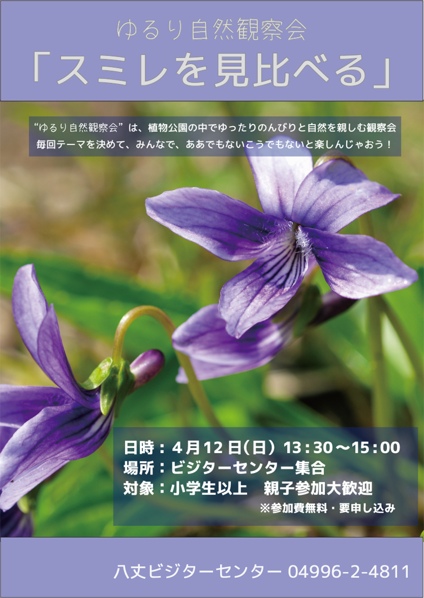 八丈ビジターセンター tweet media