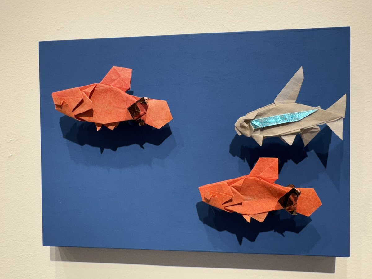 宮本宙也 / Miyamoto Chuya tweet media