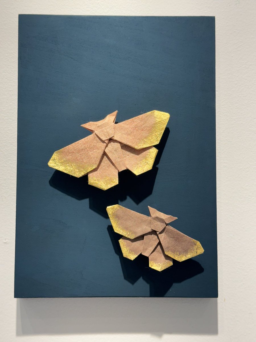 宮本宙也 / Miyamoto Chuya tweet media