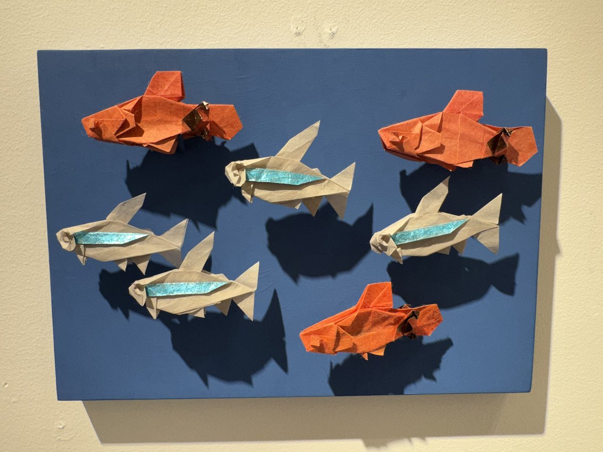 宮本宙也 / Miyamoto Chuya tweet media