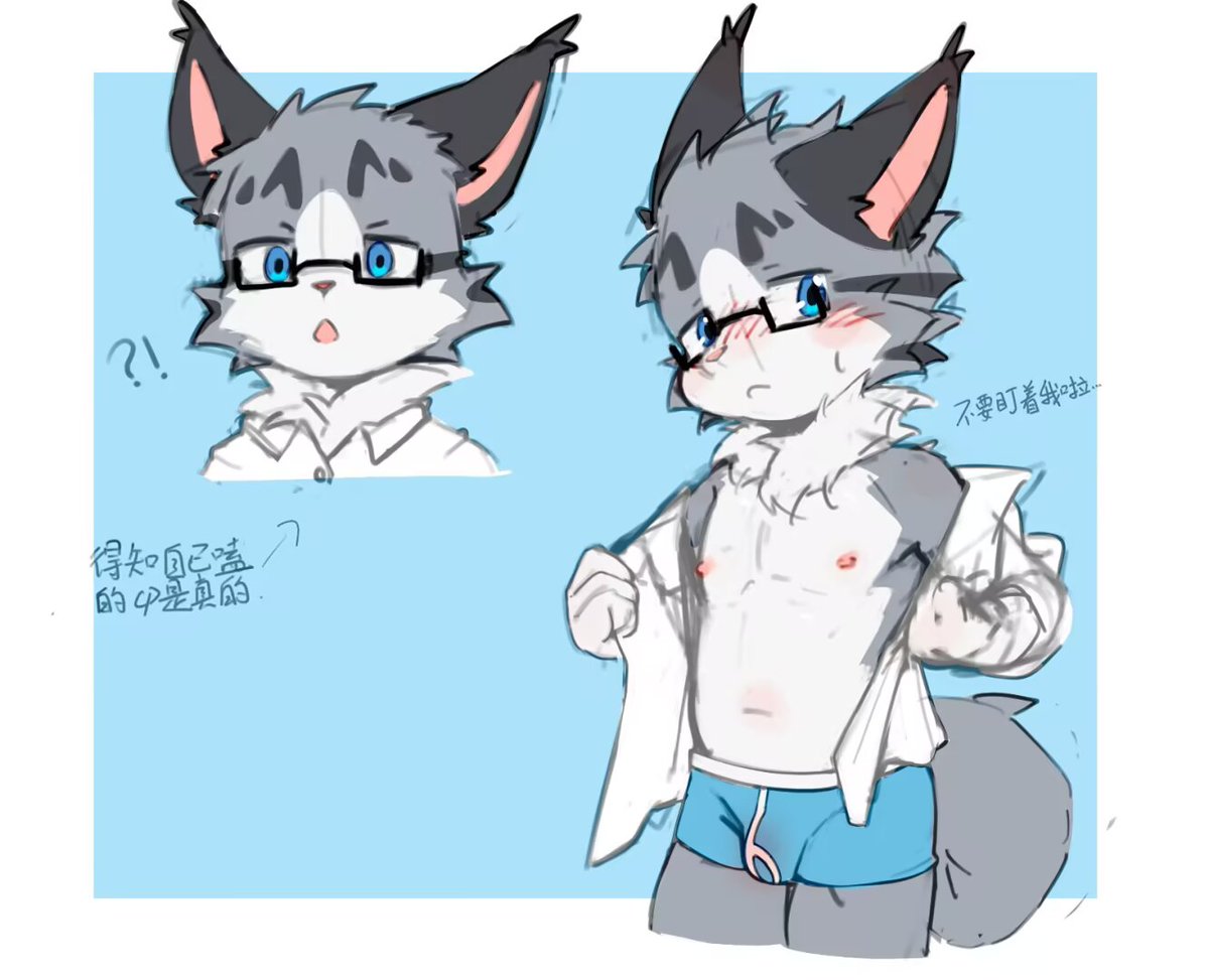 jia_furry's tweet photo. 这里也放一下 https://t.co/8jK85QF3YW