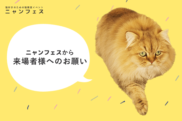 ニャンフェス実行委員会 tweet media