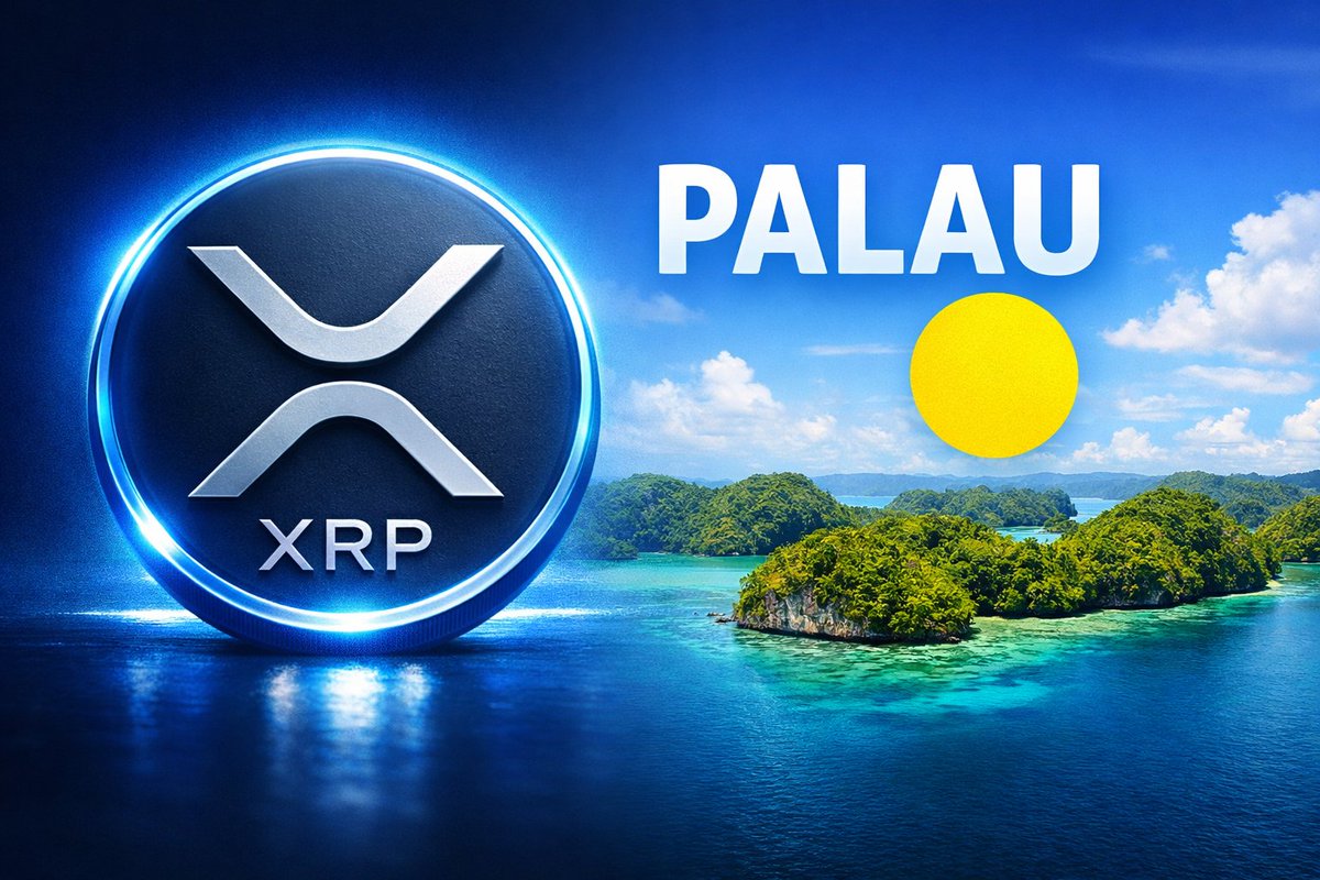 Chloe the XRP shiller 💙 tweet media