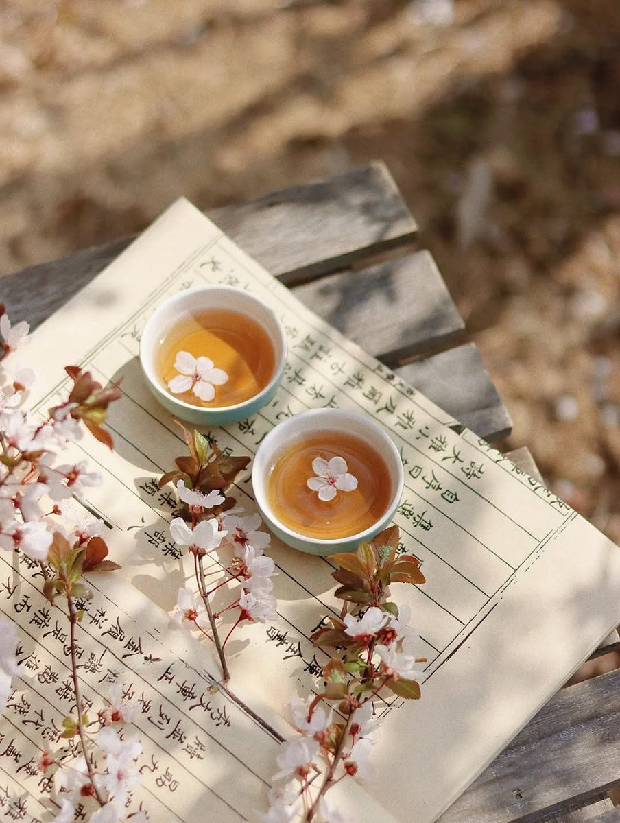 vivian 2000 tweet media