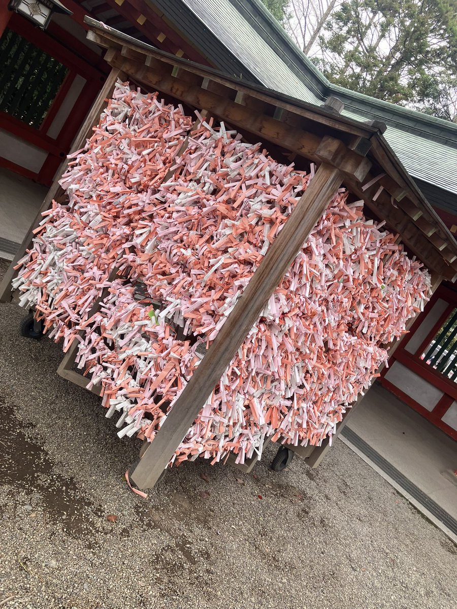 すずか🦉❤️‍🔥 tweet media