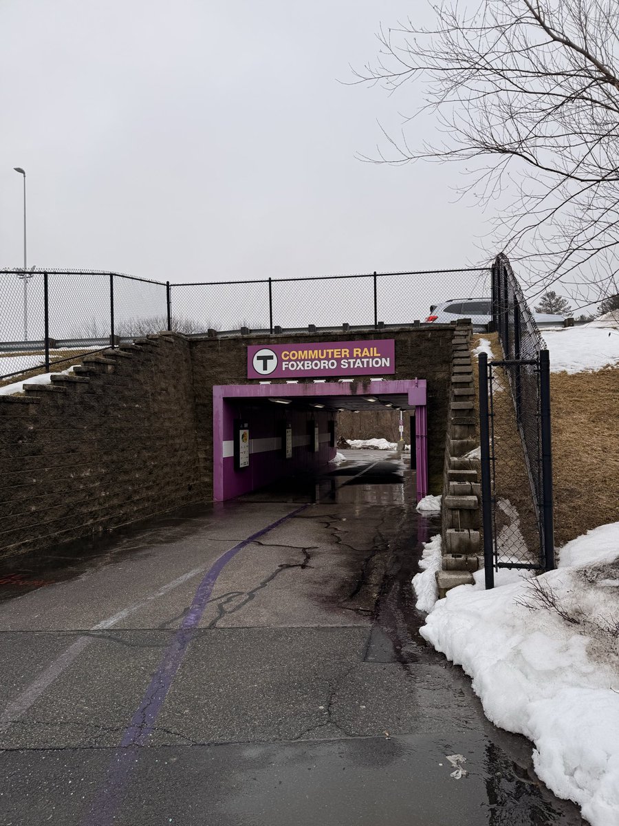 Free Lions tweet media