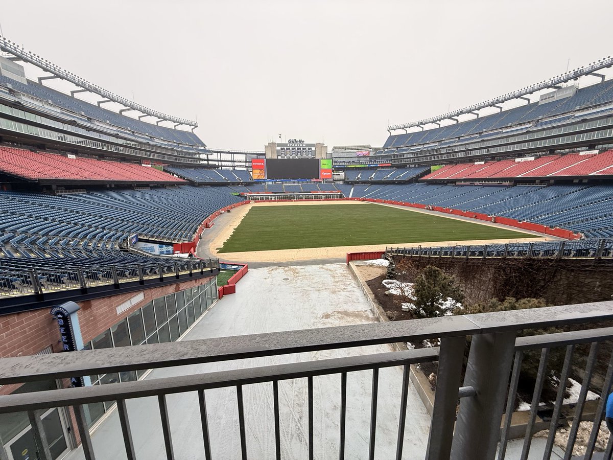 Free Lions tweet media