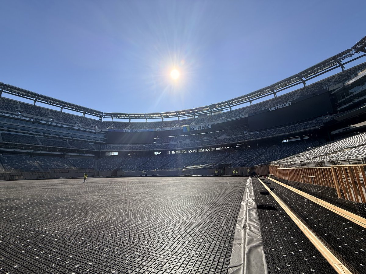 Free Lions tweet media