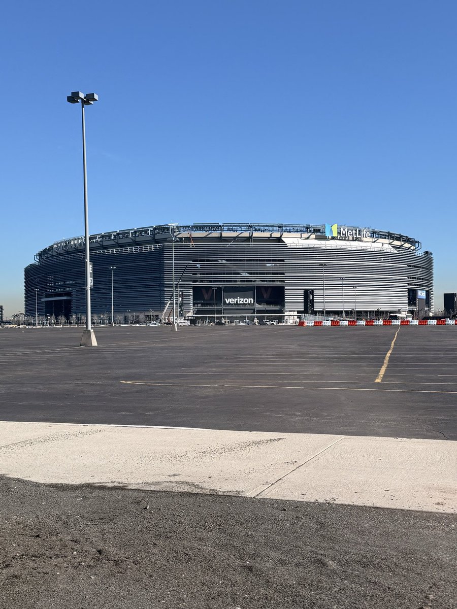 Free Lions tweet media