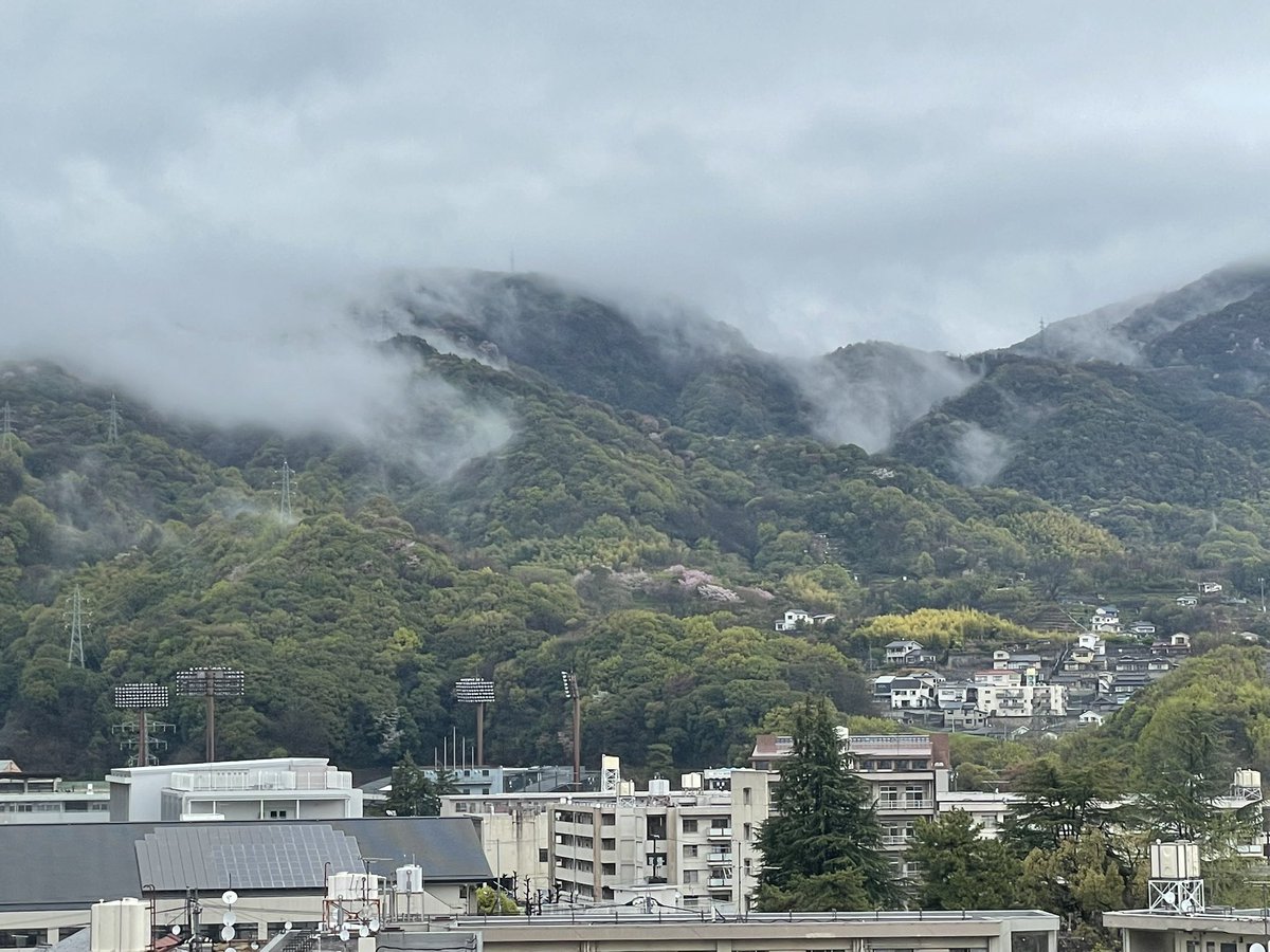 骨折して入院した母の様子を見に行く。
病室の窓から母校が見えた。二河球場のライトや背後には山桜も見えた。