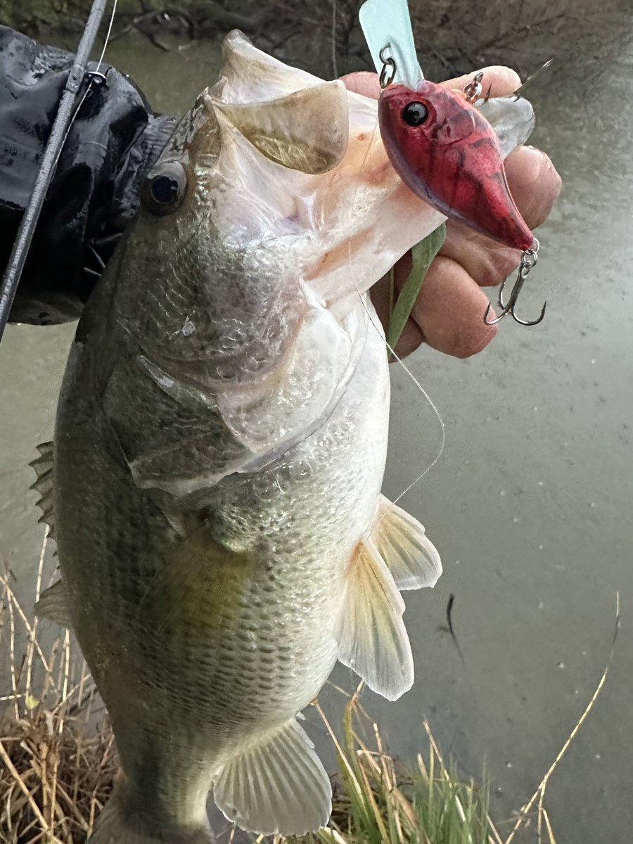 加木屋 守 (マーモ) tweet media