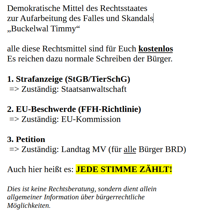 Linda Grünberg tweet media