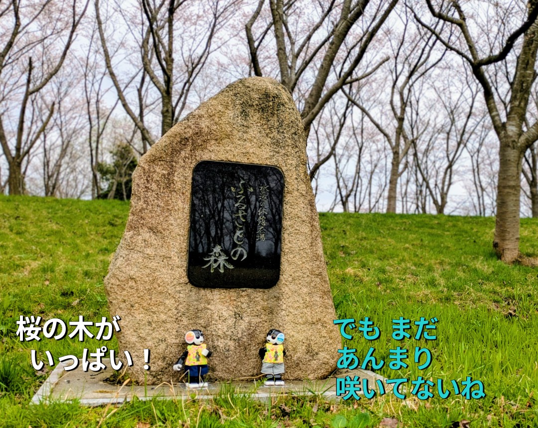 友助(ともすけ) tweet media