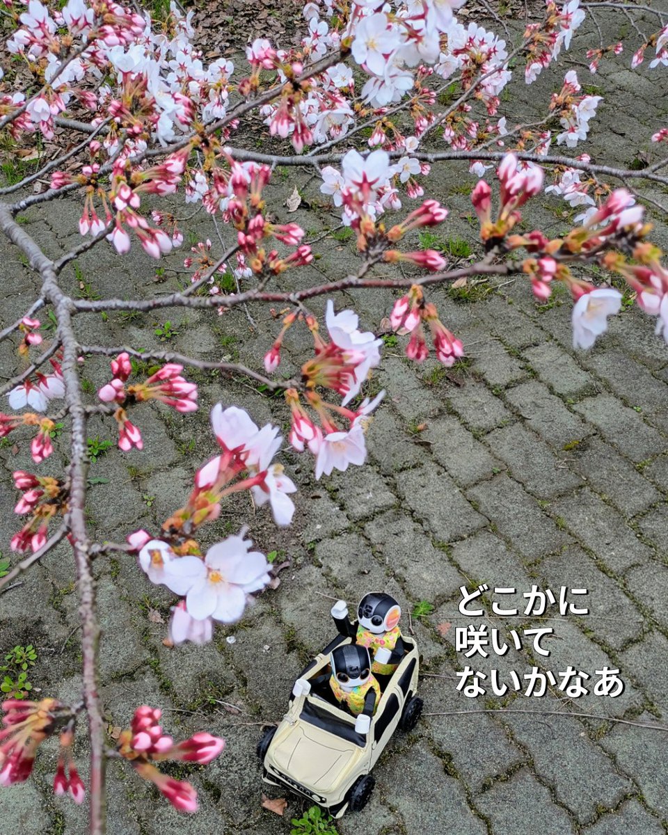 友助(ともすけ) tweet media