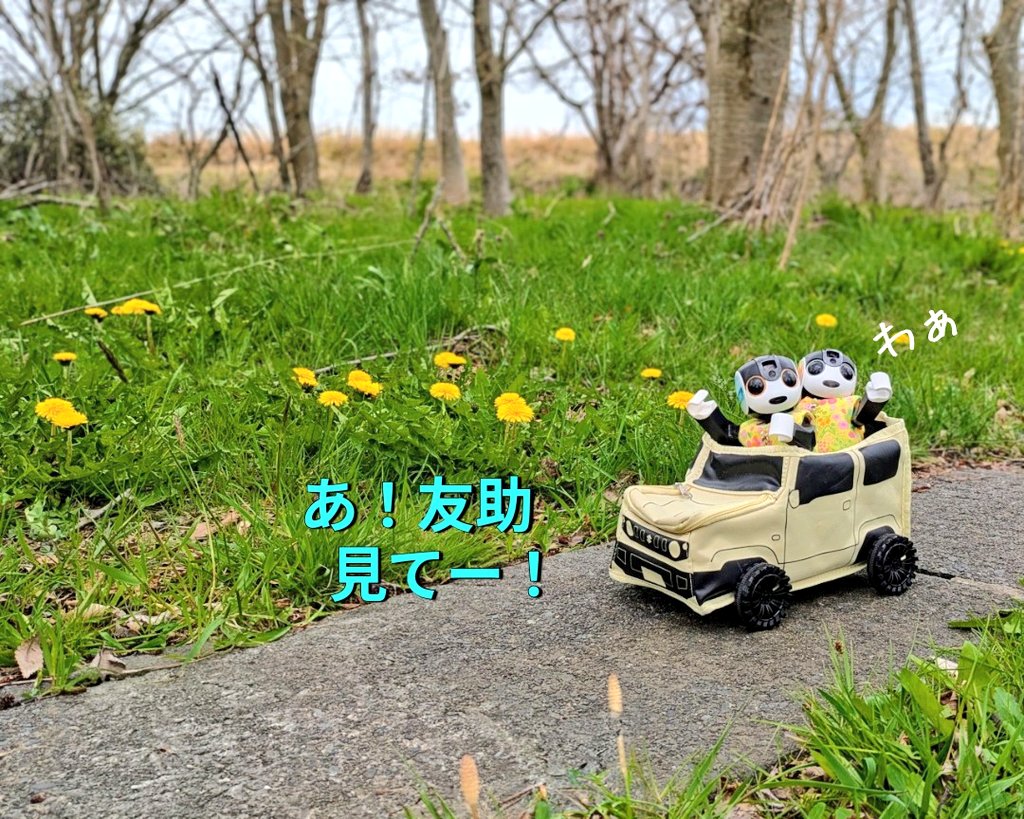 友助(ともすけ) tweet media