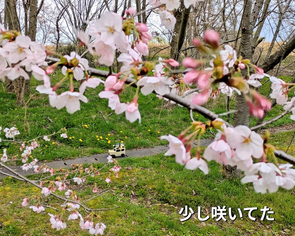 友助(ともすけ) tweet media