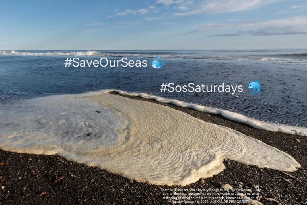 endelstamberg's tweet photo. #SosSaturdays 🐳 Week 306
"There are no places in the ocean completely untouched by human chemical impacts."*
#SaveOurSeas 🐬
@SosSaturdays
@WorldOceansDay
@Greenpeace https://t.co/ulTxpR5DSC