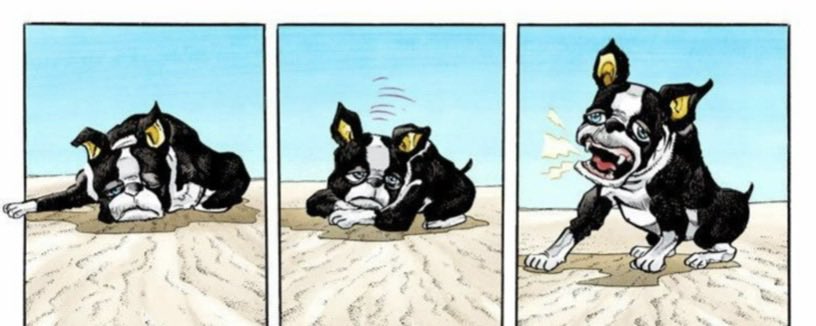 nana ~☆ tweet media