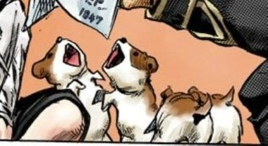 nana ~☆ tweet media