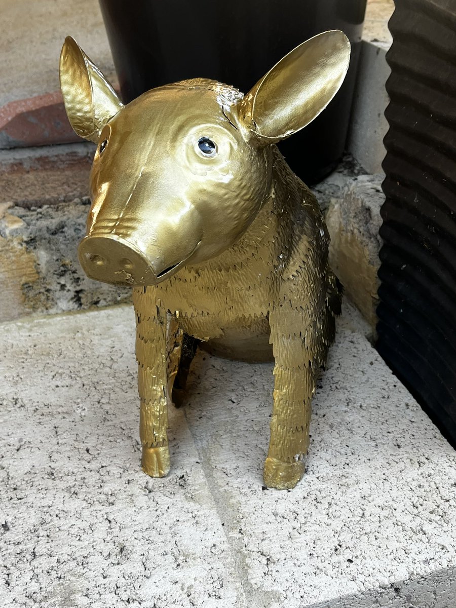 My mum made me a golden pig as an early birthday present omfg I love him 💛💛💛💛