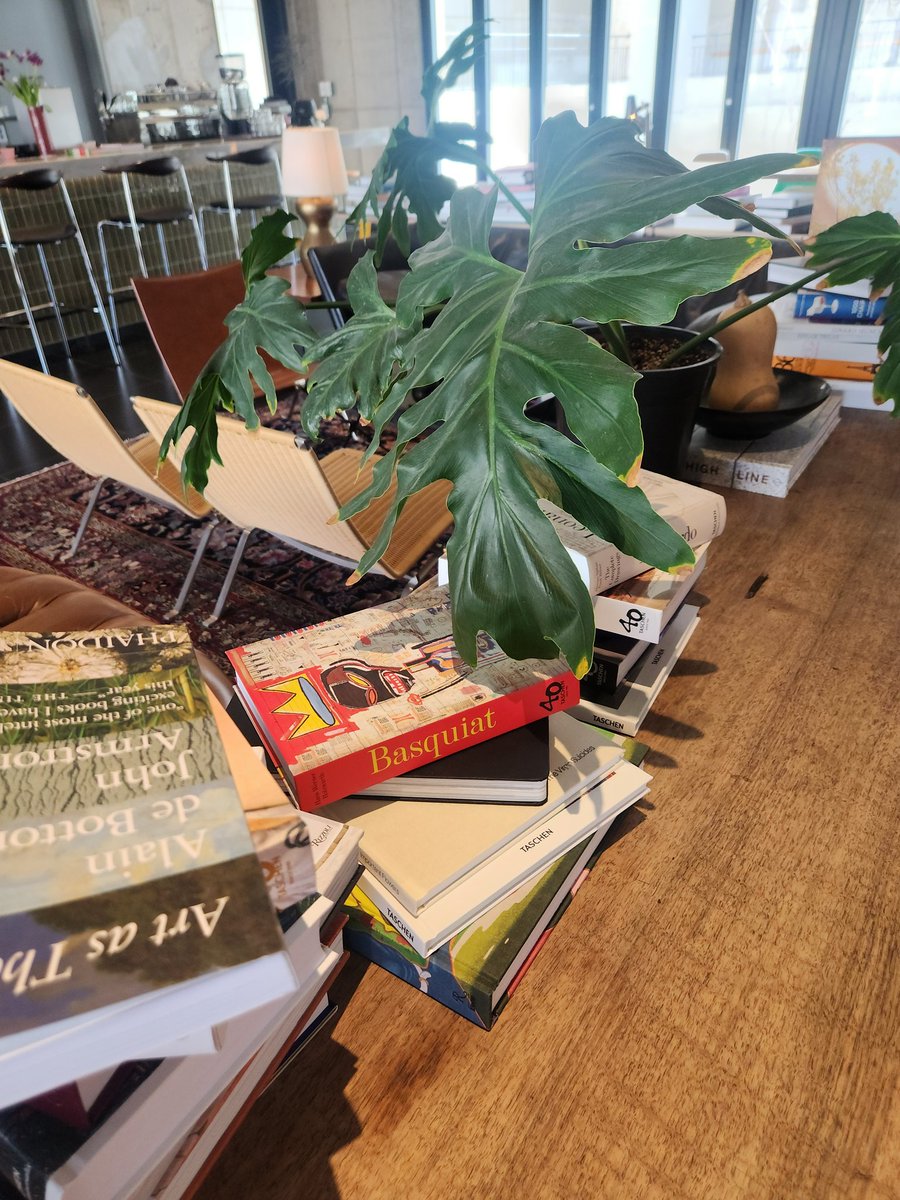 rabel_07 tweet media