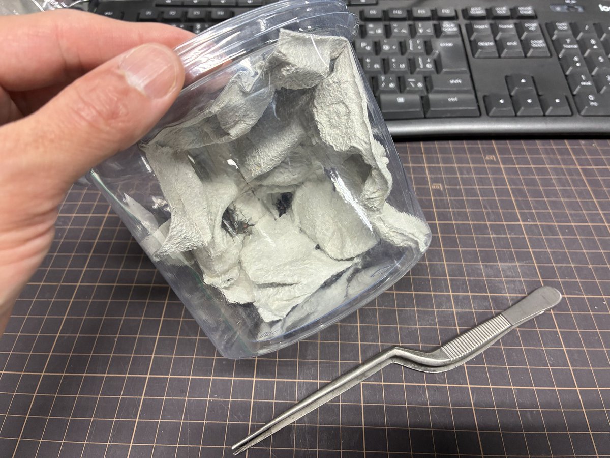 長島聖大(ピン・セイダイ) tweet media