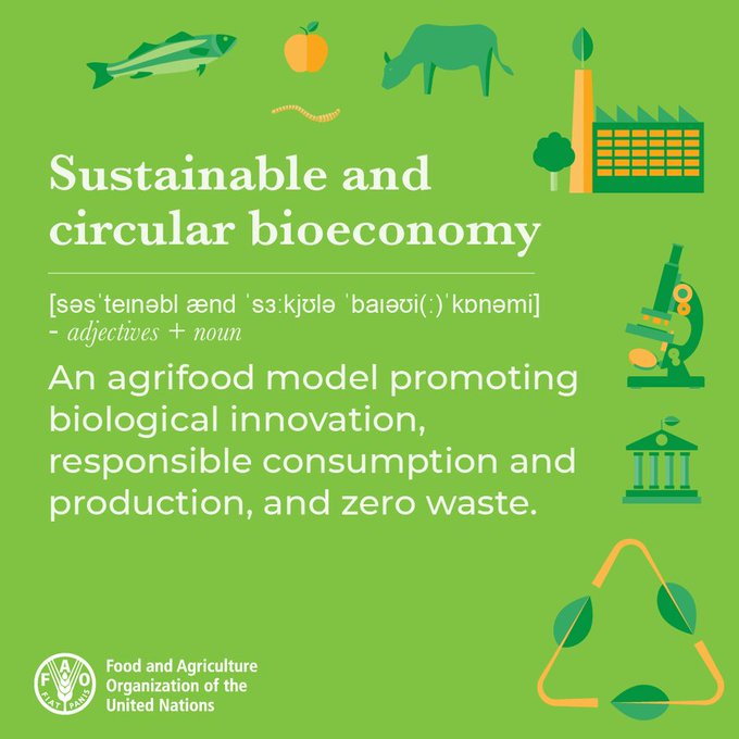 FAOclimate's tweet image. A sustainable bioeconomy has major untapped potential to help:

☀️Combat the #ClimateCrisis
🚜Transform our agrifood systems
🌺Protect #biodiversity

Learn more about @FAO's work on bioeconomy. 

👉fao.org/in-action/sust…