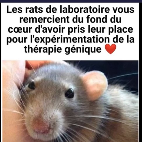 Ni Oubli Ni Pardon tweet media