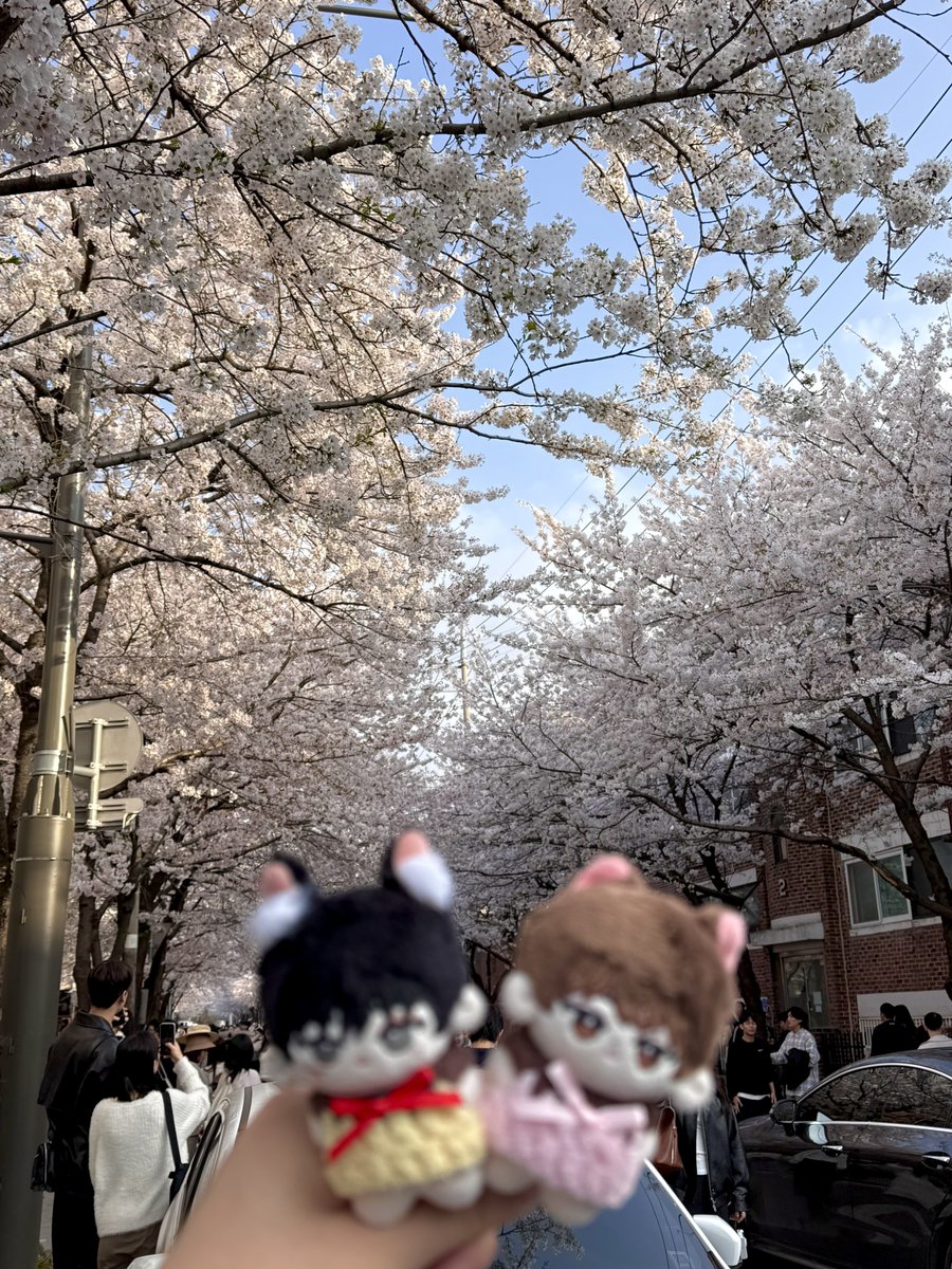쪼이 tweet media