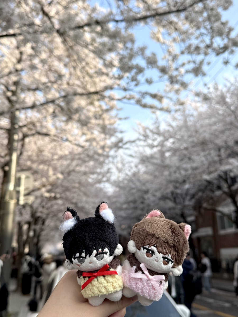 쪼이 tweet media