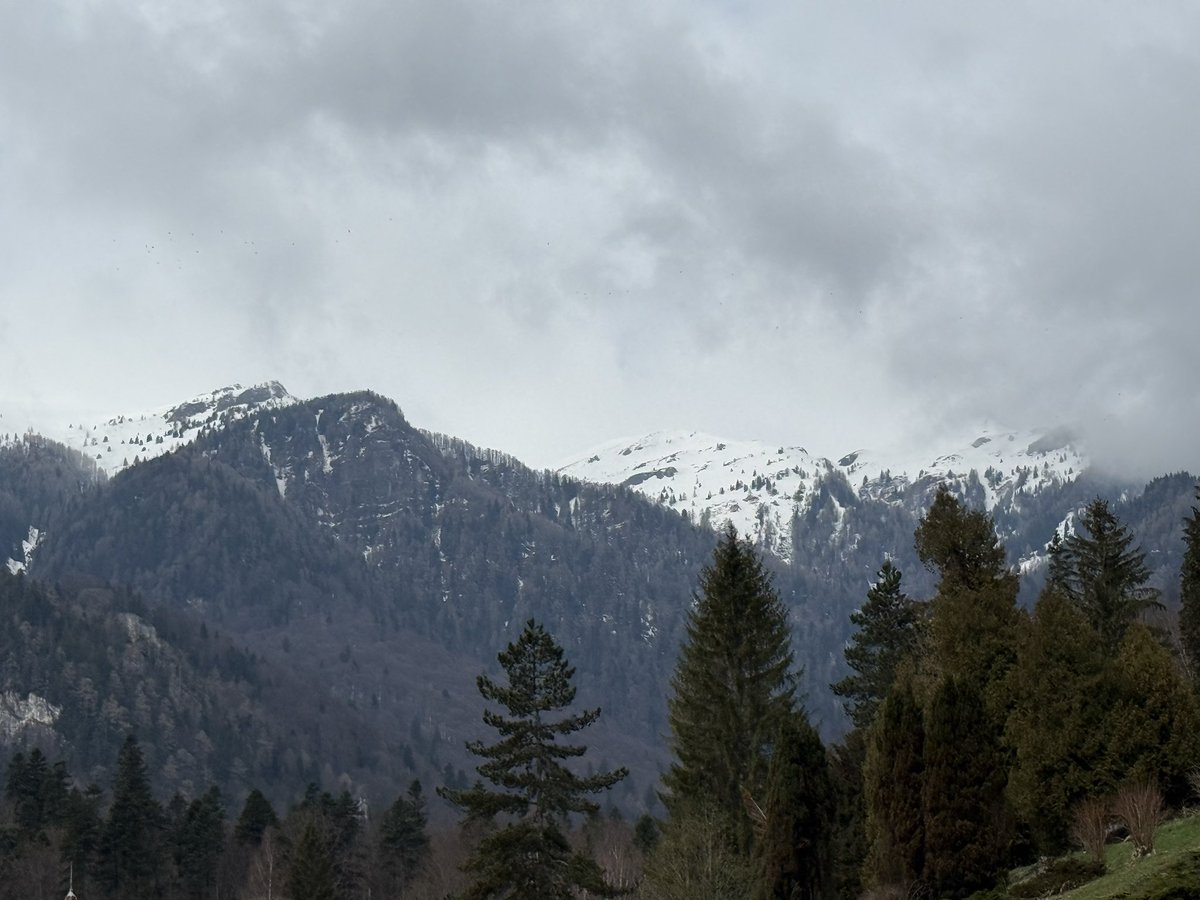 Master Yoda tweet media