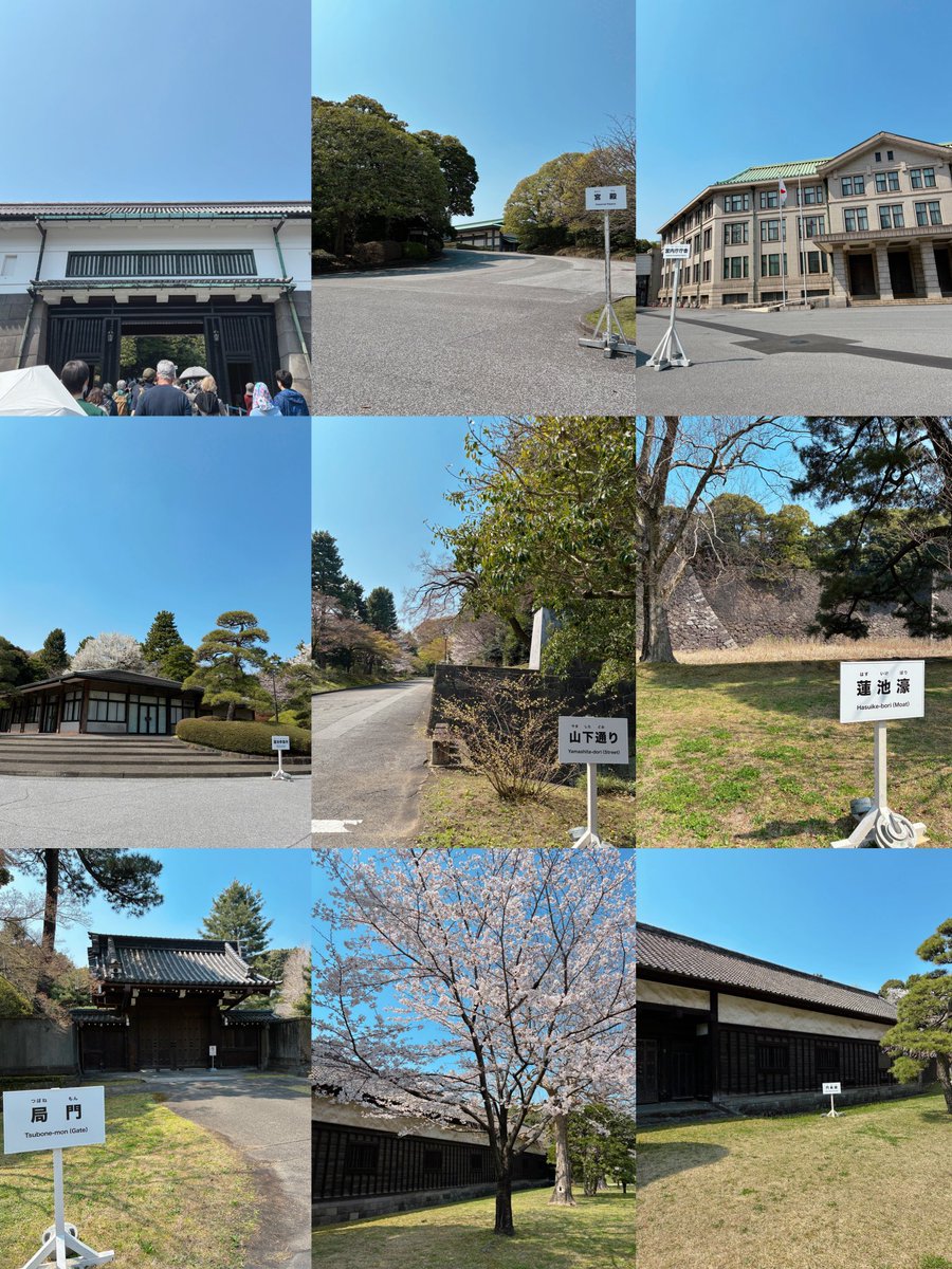 ゆるびし tweet media