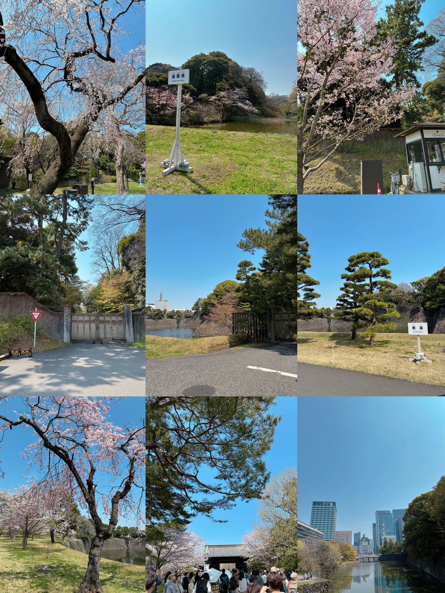 ゆるびし tweet media