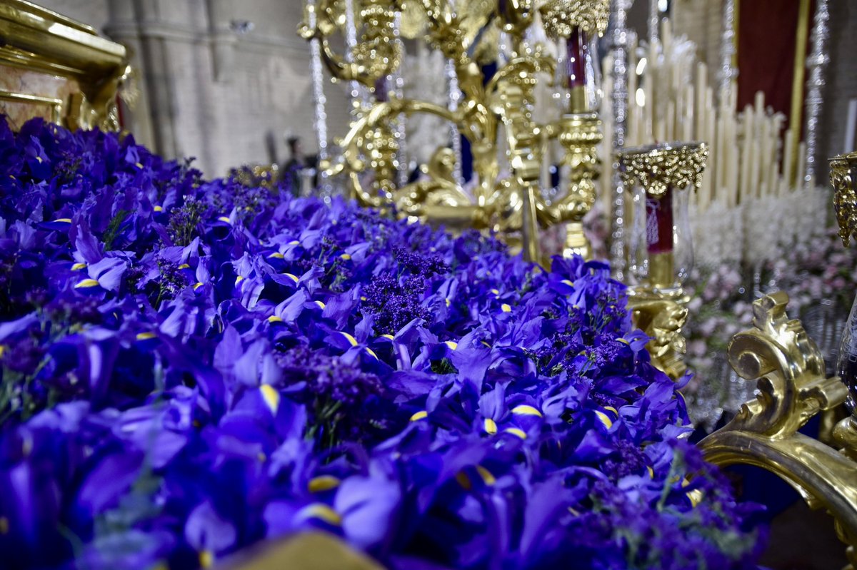 Resurrección Sevilla tweet media