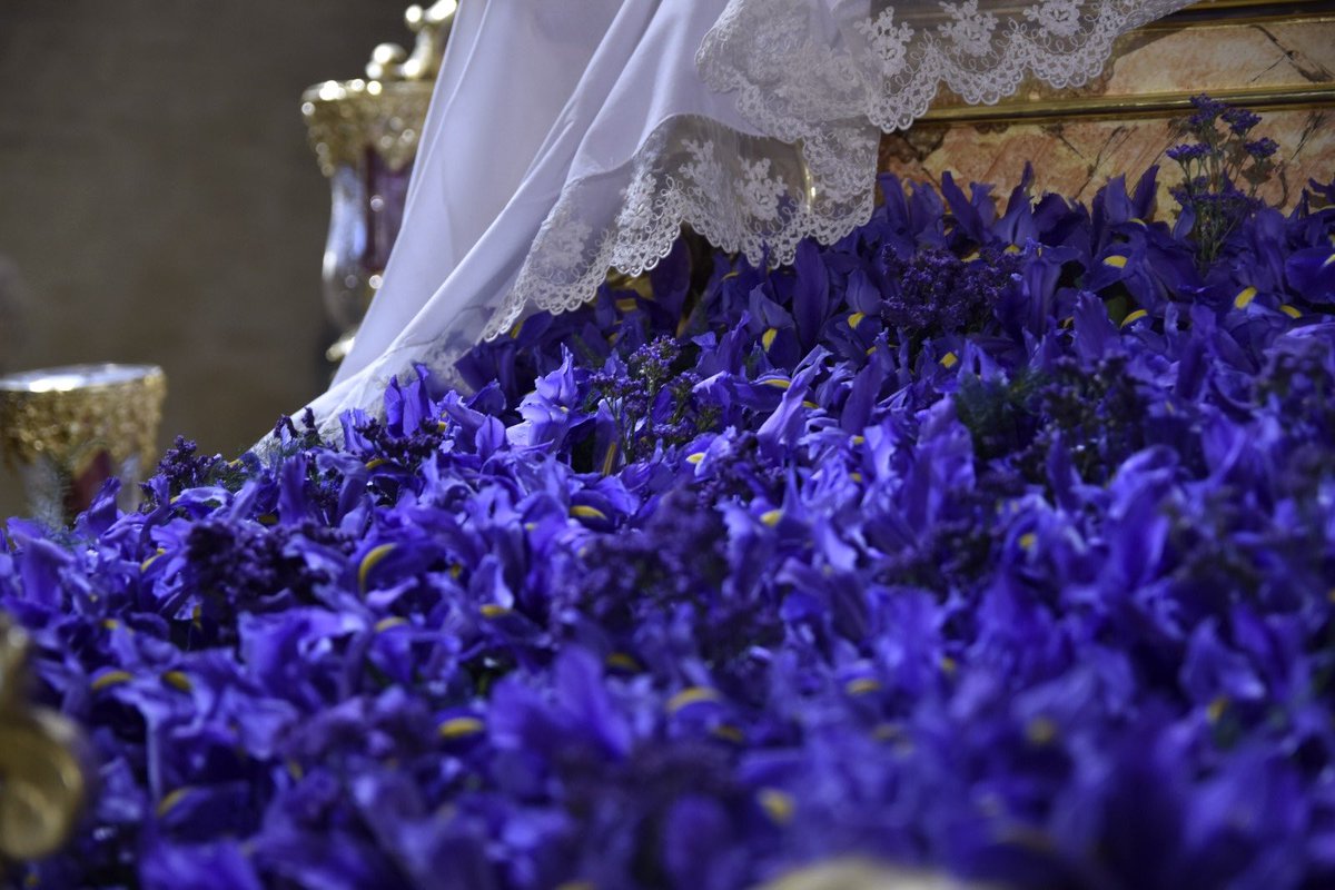 Resurrección Sevilla tweet media