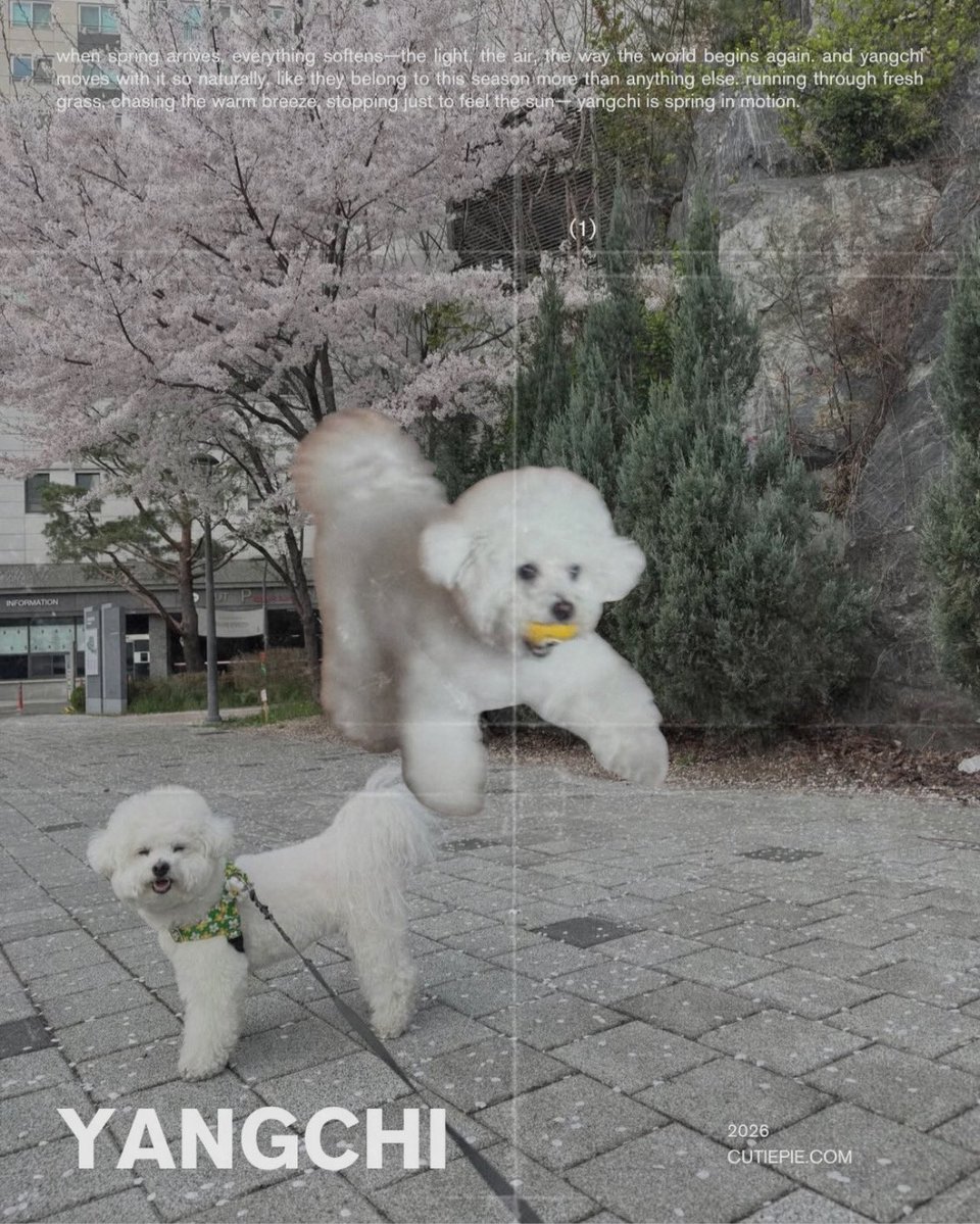 ‎͏͏͏͏ؘ tweet media