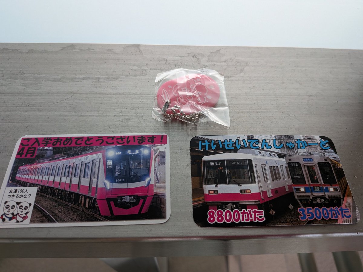 いちかわ.ちばのかめ tweet media