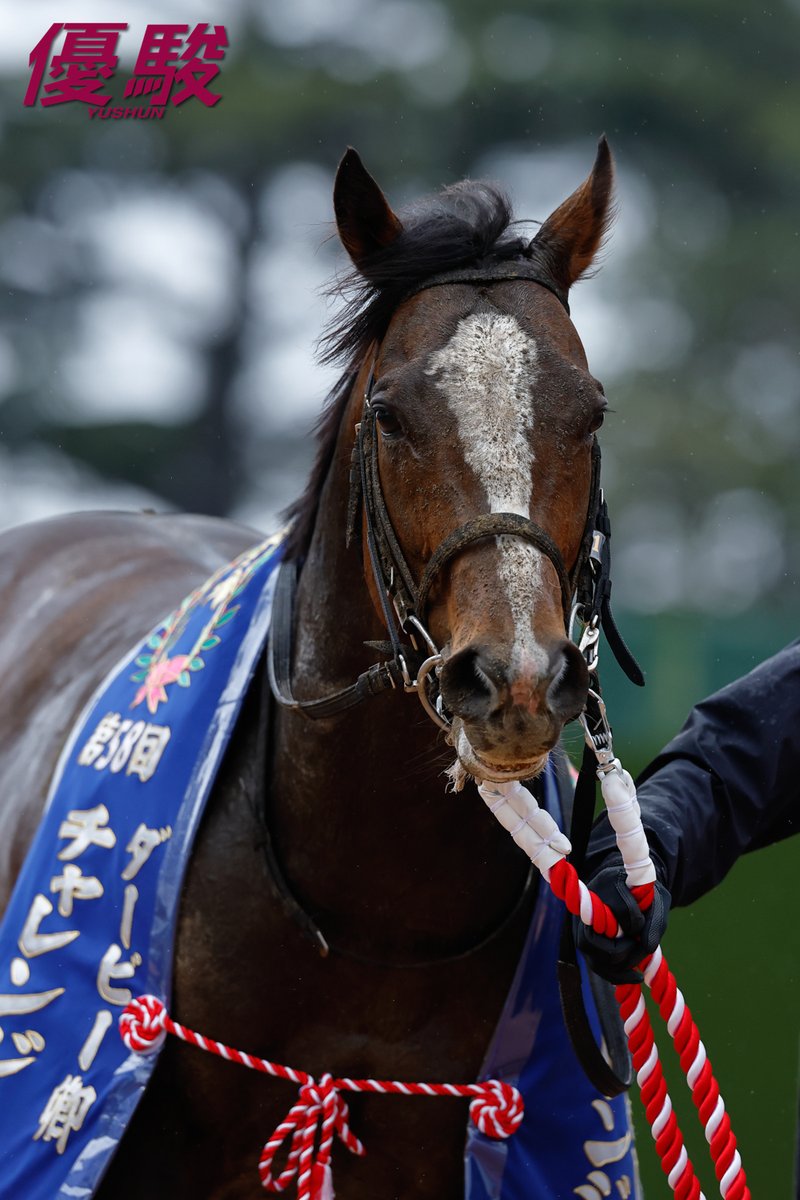 『優駿』編集部 tweet media