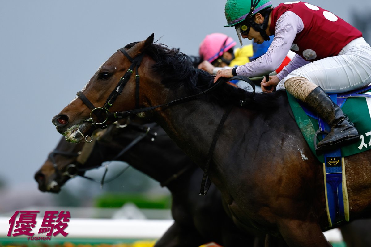 『優駿』編集部 tweet media