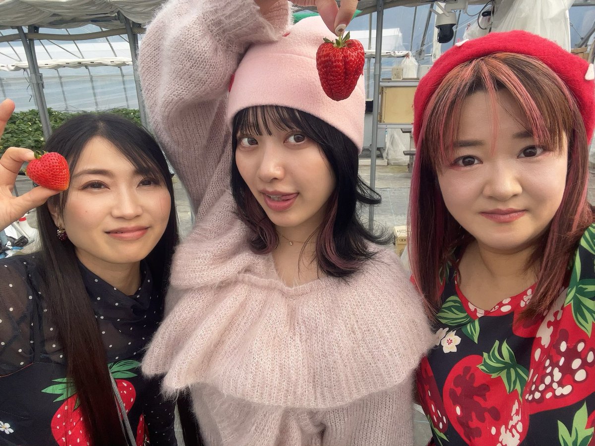 いちご姫 tweet media