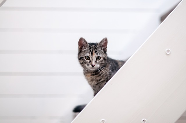 Victor Hudson tweet media