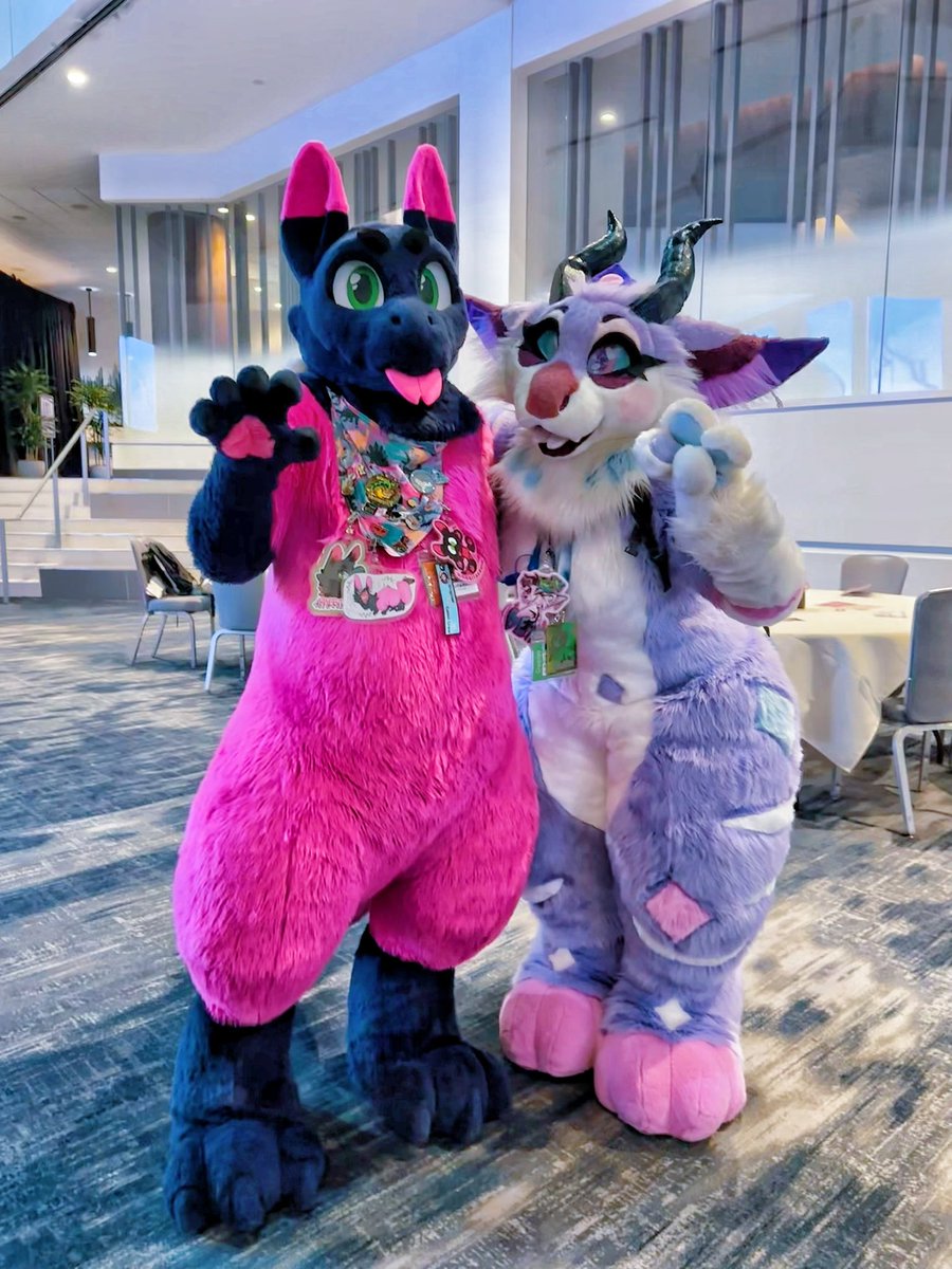 limeythecheetah's tweet photo. Beautiful creatures stole my heart! 😻🩷💜
#furlingame https://t.co/BztjE8wIky
